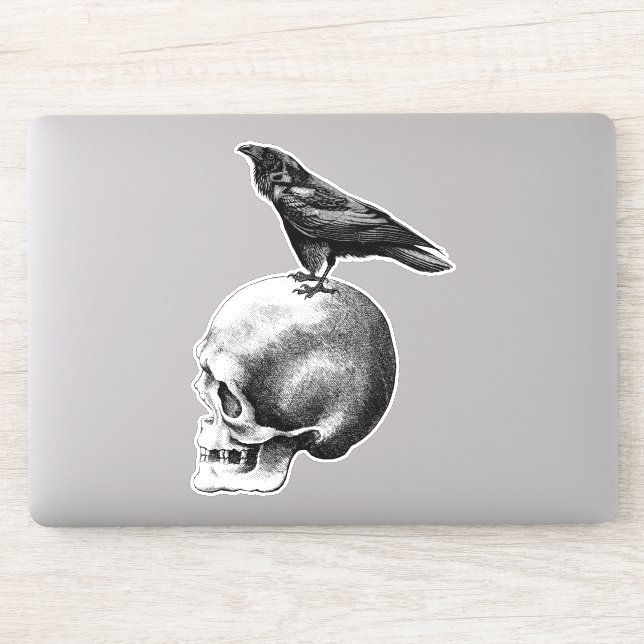 Crow Sitting On Human Skull goth Art (Computer)