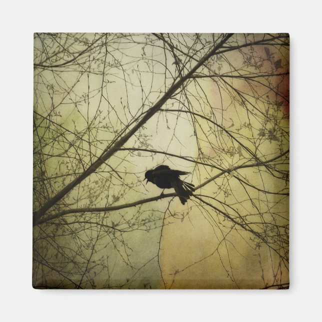 Crow Speak Magnet (Front)