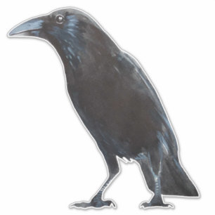 Crow sticker