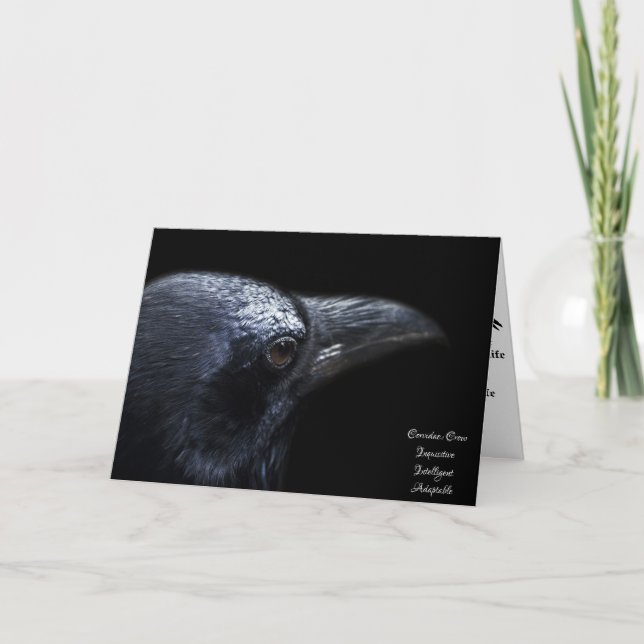 Crow Symbolism Card (Front)