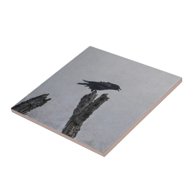 Crow Tile (Side)