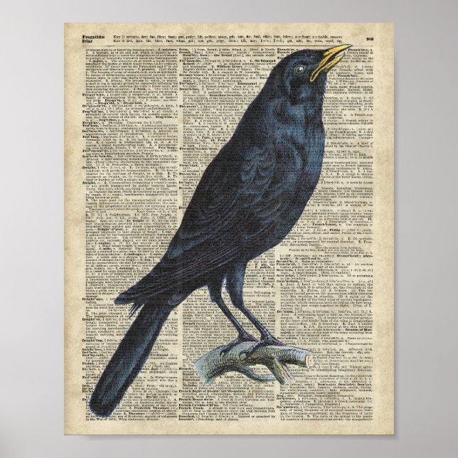 Crow Vintage Illustration At Old Encyclopaedia Pag Poster (Front)