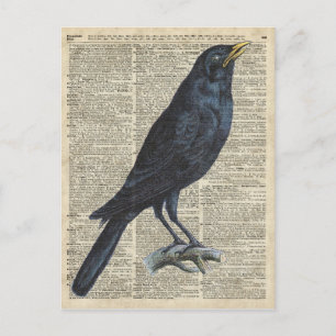 Crow Vintage Illustration At Old Encyclopaedia Postcard