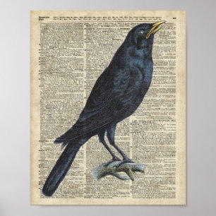 Crow Vintage Illustration At Old Encyclopaedia Poster
