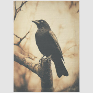 Crow Vintage Style Decoupage Tissue Paper