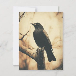Crow Vintage Style Postcard