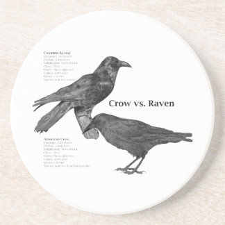 crow-vs-raven coaster
