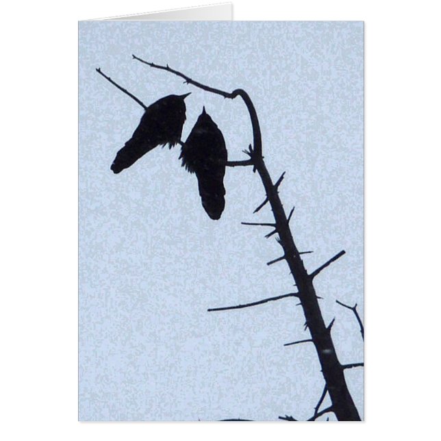 Crow Watch (Front)