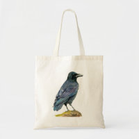 Crow Watercolor Painting