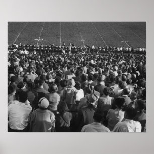 Crowd in stadium poster