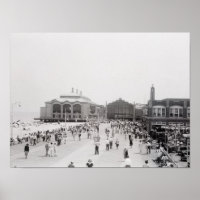 Crowds