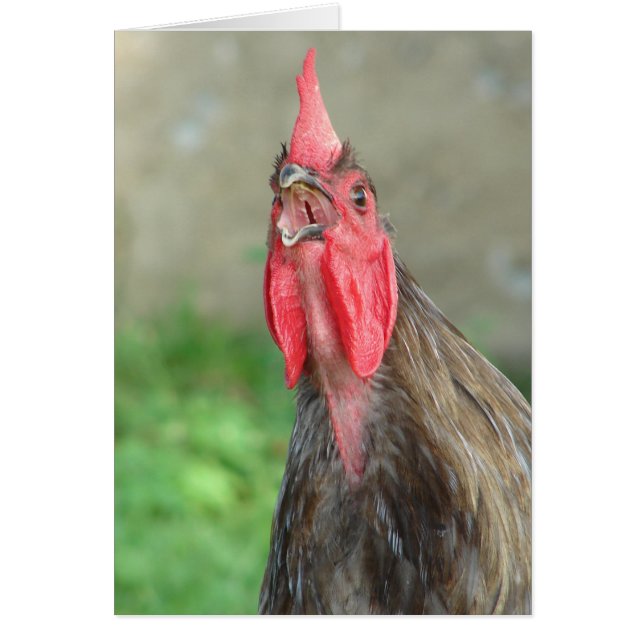 Crowing Blue Rooster (Front)