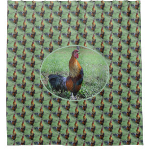 Crowing Rooster Nature Art  Shower Curtain