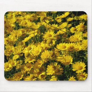 Crown Daisies / Chrysanthemum Coronarium Mouse Mat