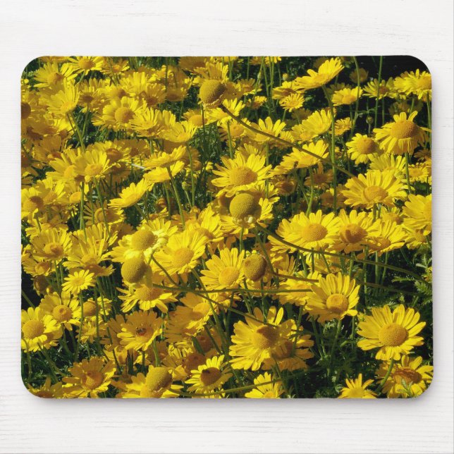 Crown Daisies / Chrysanthemum Coronarium Mouse Mat (Front)