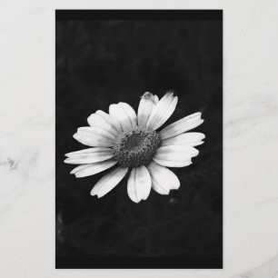 Crown Daisy Stationery