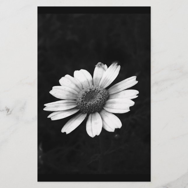 Crown Daisy Stationery (Front)