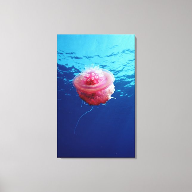 Crown Jellyfish Canvas Print (Front)