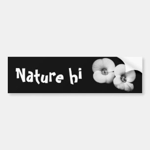 crown of thorns bumper sticker