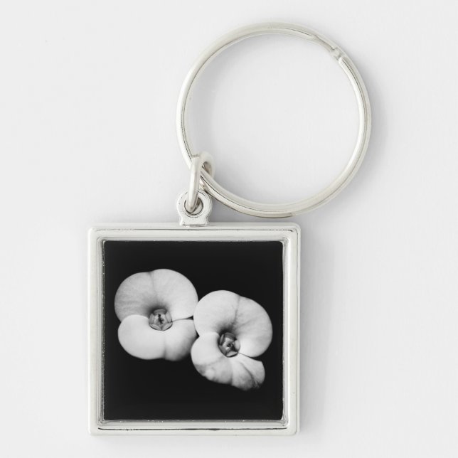 crown of thorns key ring (Front)