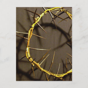 Crown of Thorns Postcard