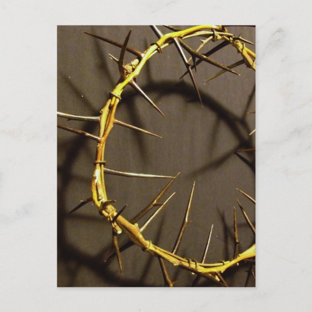Crown of Thorns Postcard (Front)