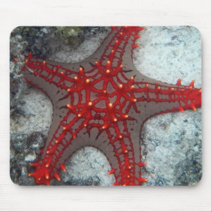 Crown Of Thorns Starfish On The Coral Reef Mouse Mat