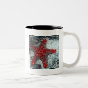 Crown Of Thorns Starfish On The Coral Reef Two-Tone Coffee Mug