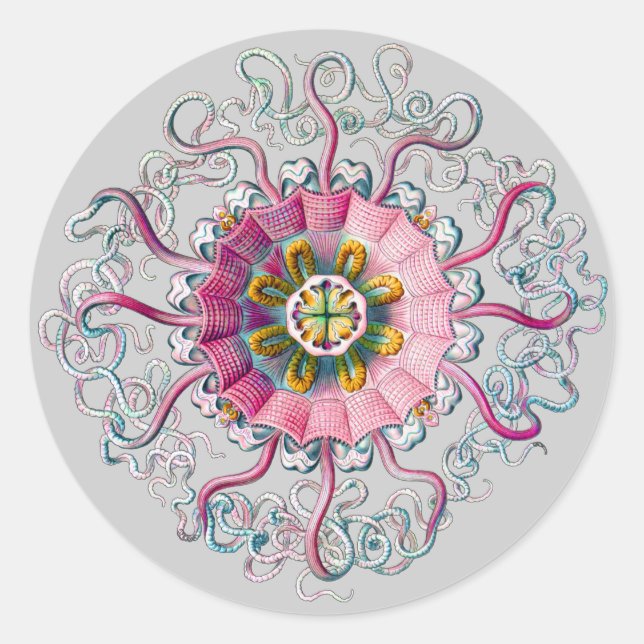 Crown or Helmet Jellyfish Classic Round Sticker (Front)