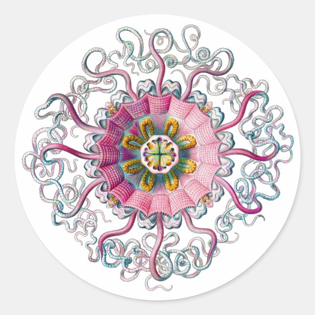 Crown or Helmet Jellyfish Classic Round Sticker (Front)