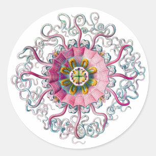 Crown or Helmet Jellyfish Classic Round Sticker