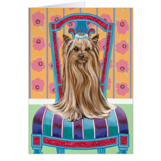 Crown Princess Yorkie (Front)