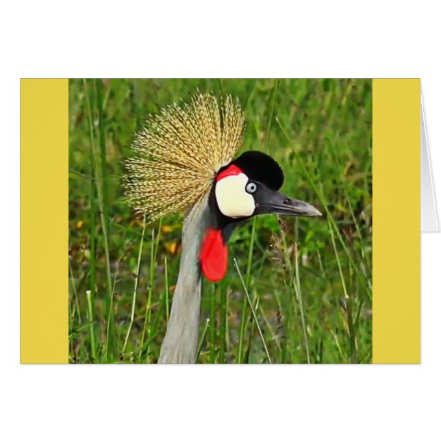 Crowned Crane (Front Horizontal)