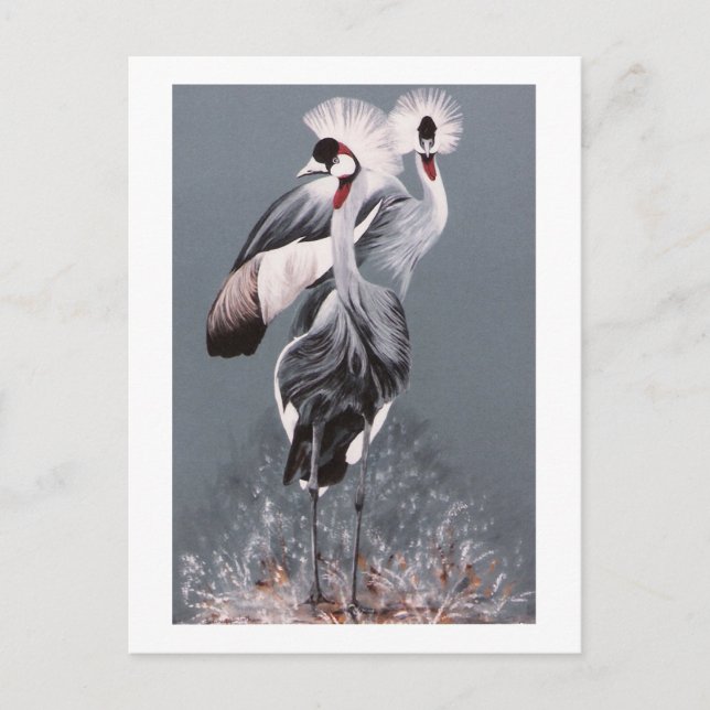 Crowned Cranes Postcard (Front)