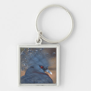 crowned pigeon key ring