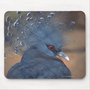 crowned pigeon mouse mat