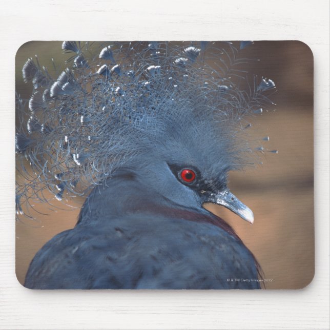 crowned pigeon mouse mat (Front)
