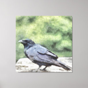 Crows Everywhere Are Equally Black Watercolor Art Canvas Print