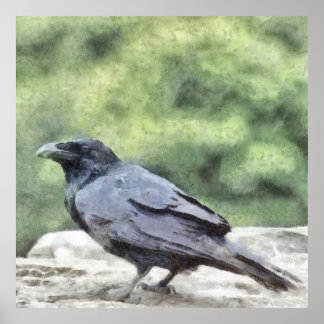 Crows Everywhere Are Equally Black Watercolor Art Poster