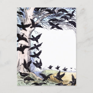 Crows Holiday Postcard