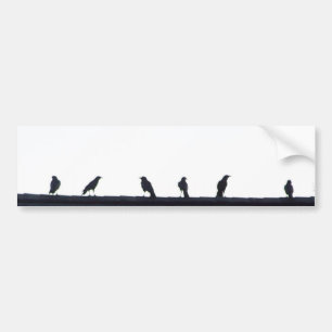 Crows in a line bumper sticker