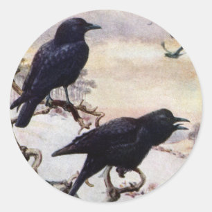 Crows in Winter Vintage Illustration Classic Round Sticker