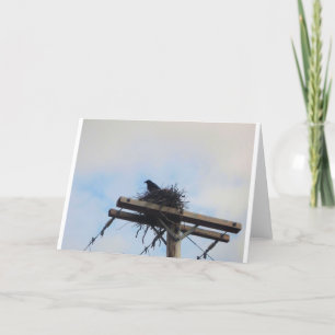 Crows Nest in Ak Card