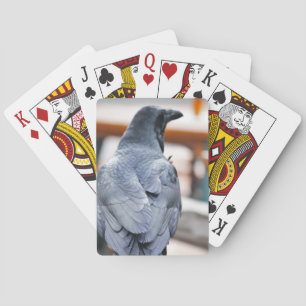 Crows Playing Cards