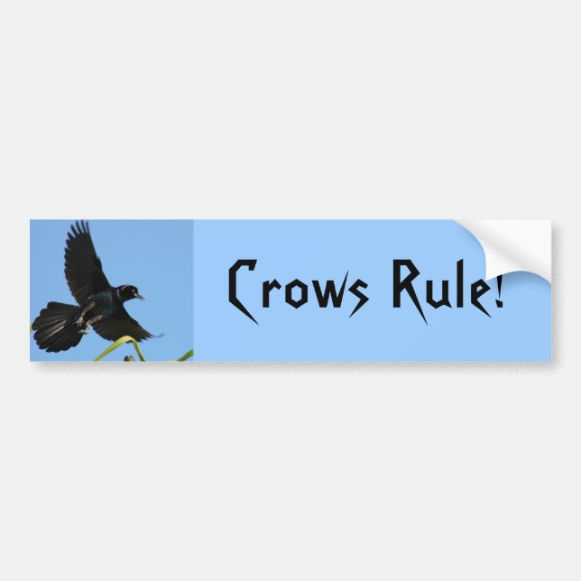 Crows Rule Bumper Sticker (Front)
