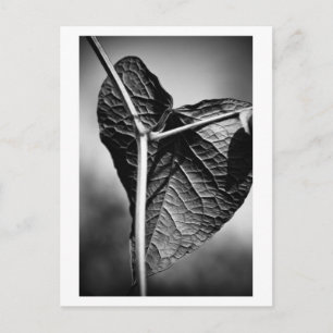 crucified heart postcard
