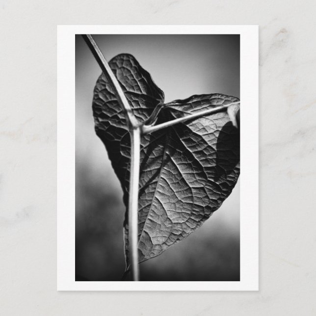 crucified heart postcard (Front)