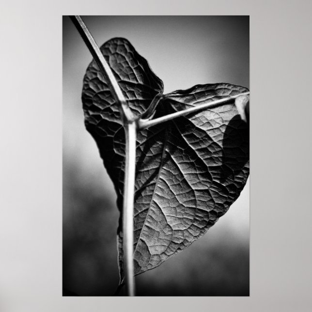 crucified heart poster (Front)