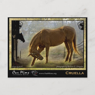 Cruella Post Card