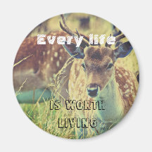 Cruelty free magnet with deer, vegan